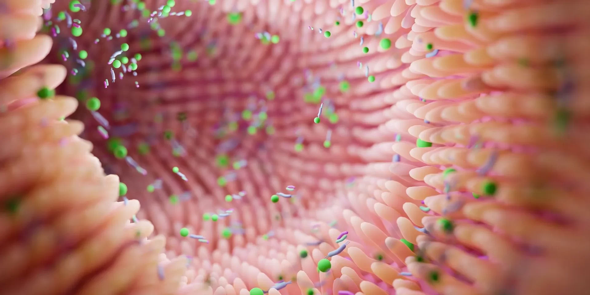 Microbiota intestinale